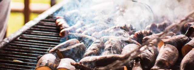 barbecue - pexels-chris-rodriguez-2884732.jpg